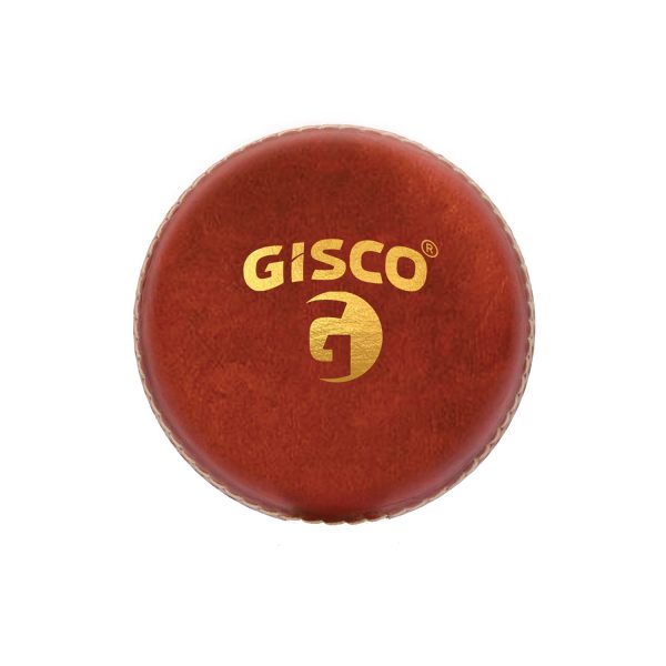 CRICKET LEATHER BALL