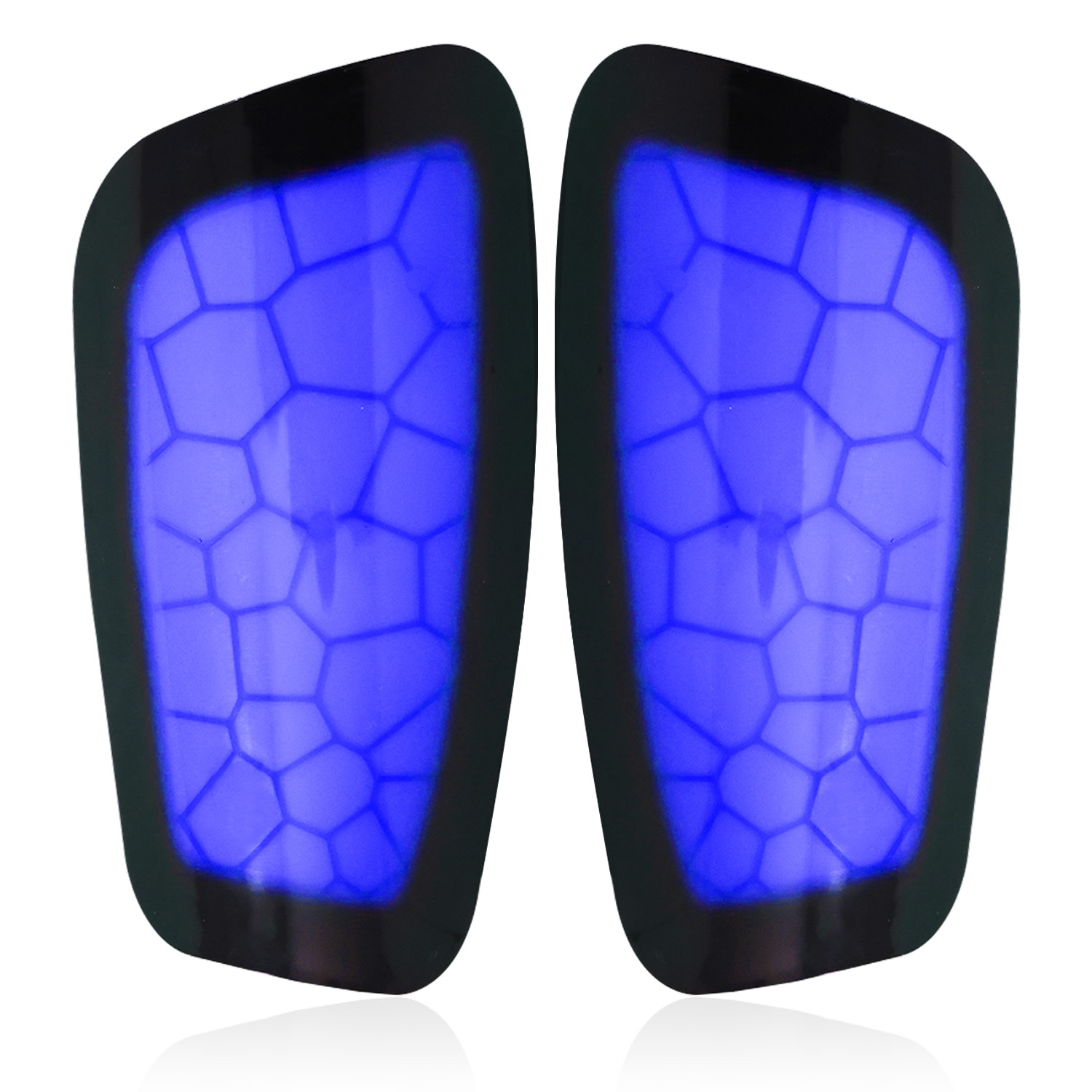 BLUE PRO